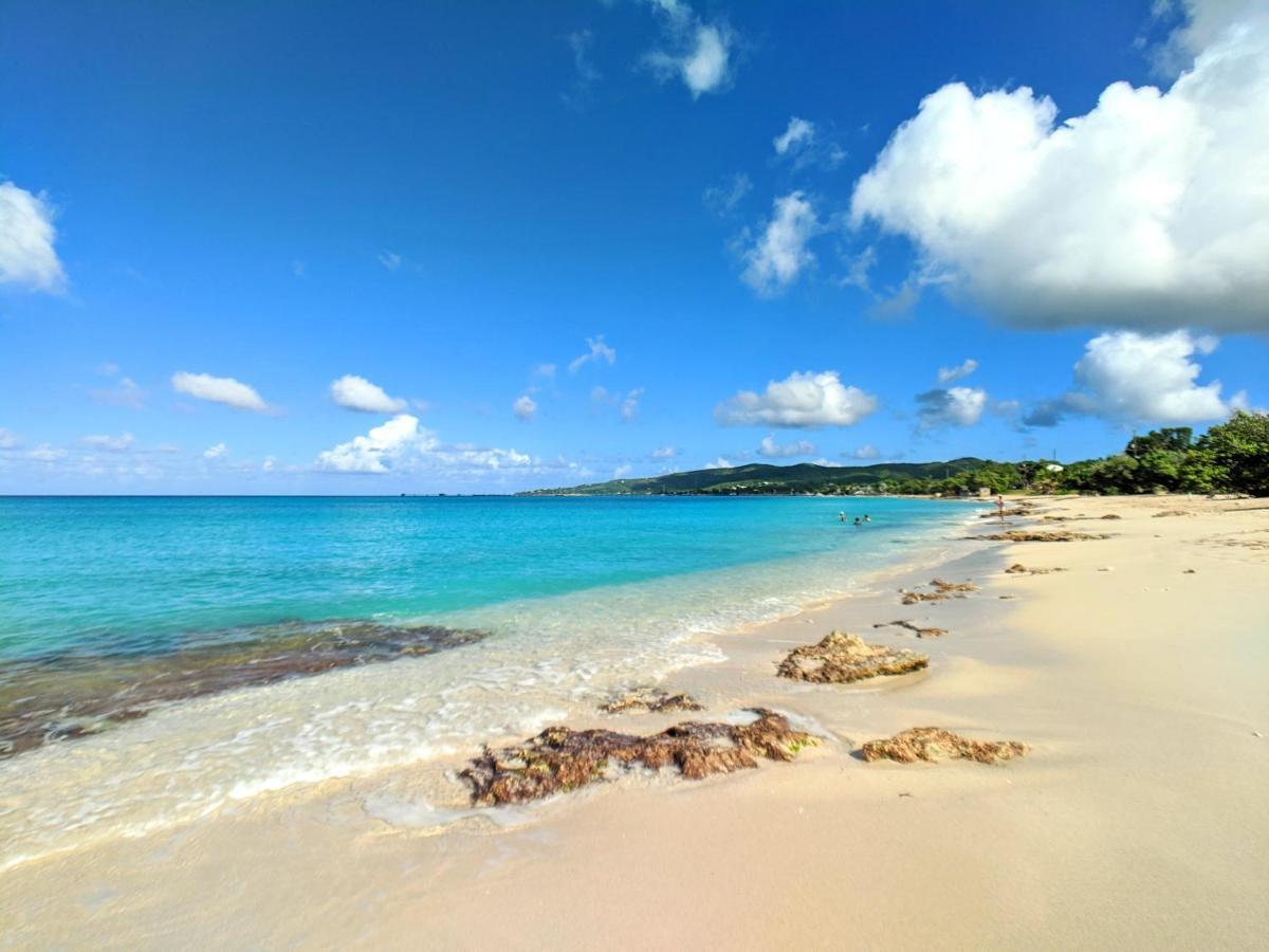 Sand Castle On The Beach - Adults Only Frederiksted Eksteriør bilde